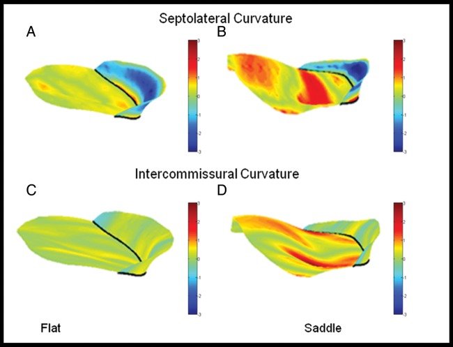 Figure 6: