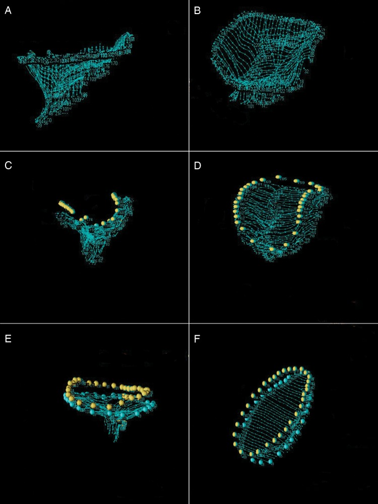 Figure 1: