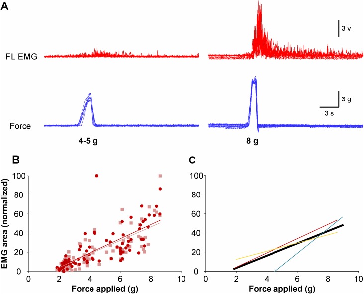 Fig 4