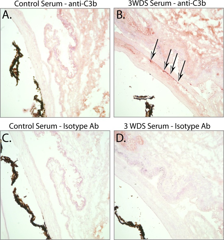 Figure 7.