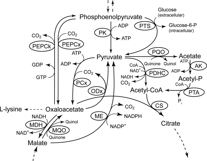 Fig 1