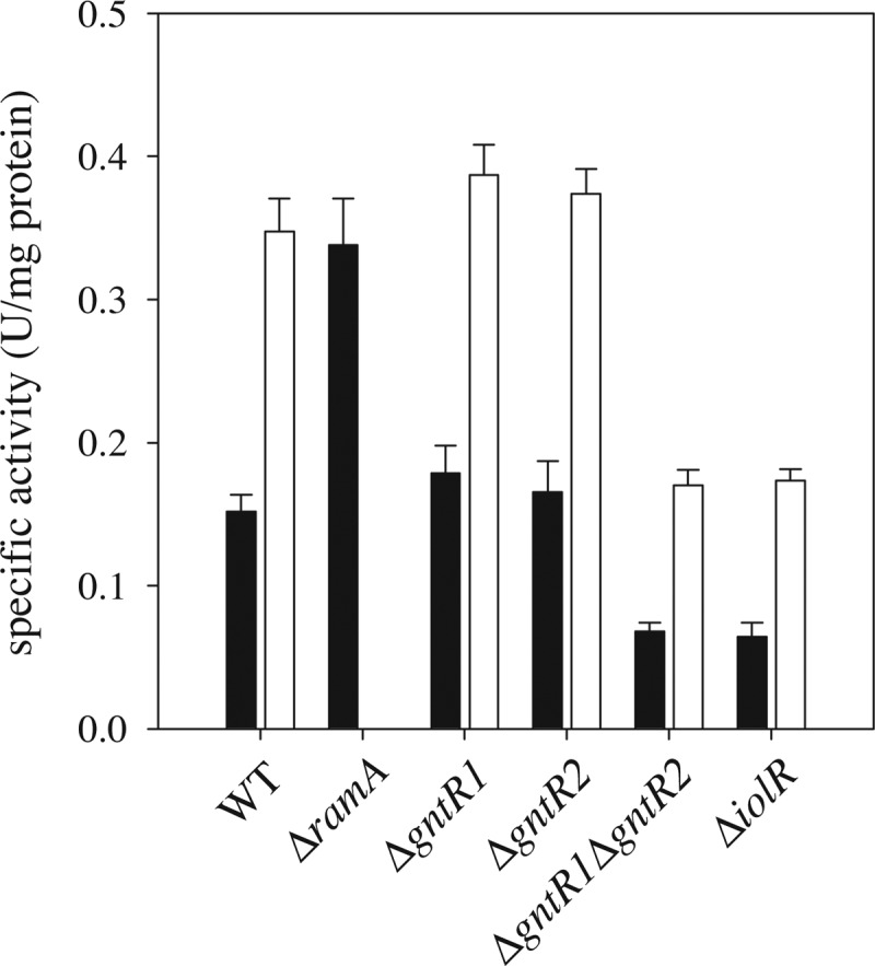 Fig 4