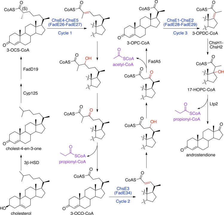 Scheme 1