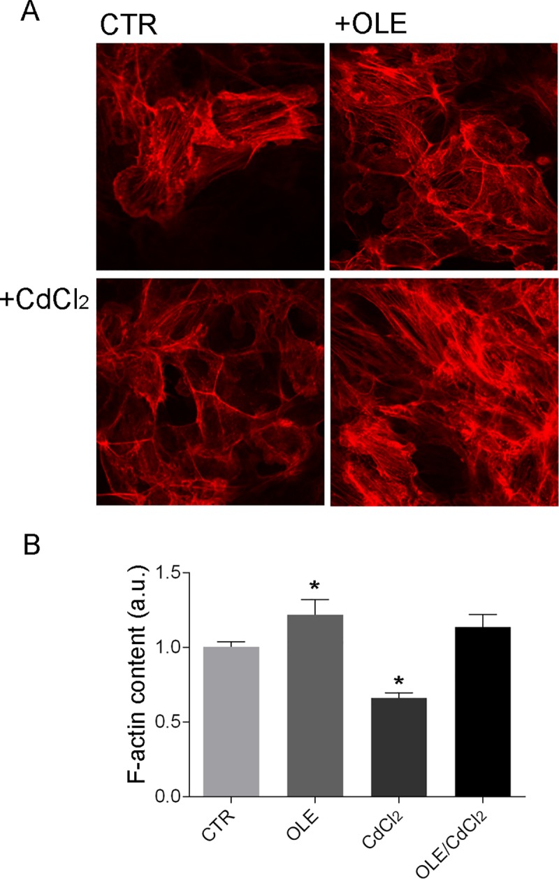 Fig 10