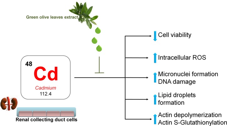 Fig 13