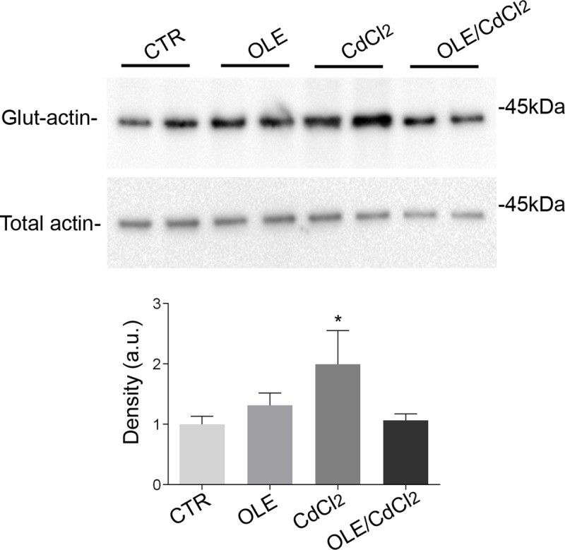 Fig 12