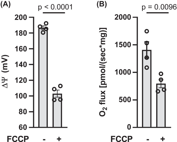 FIGURE 3