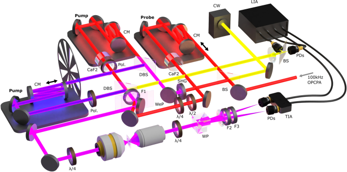 Extended Data Fig. 6