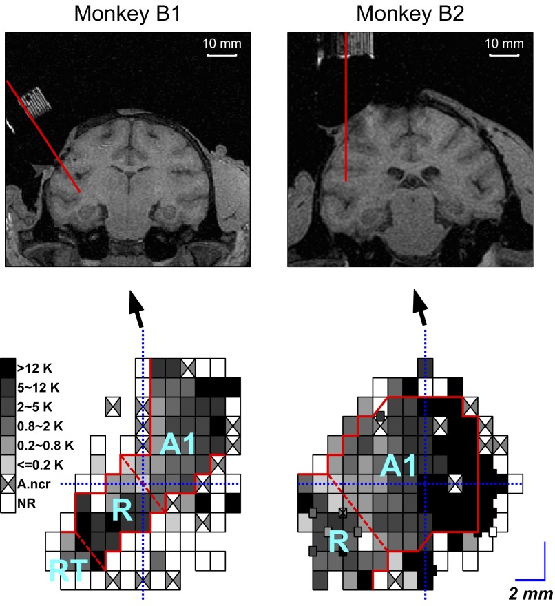 FIG. 6.