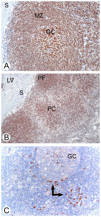 Fig 5