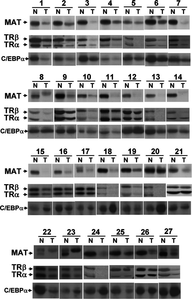 Fig. 7