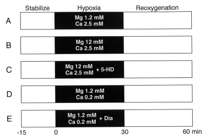 Figure 1)