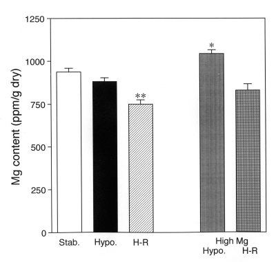 Figure 3)