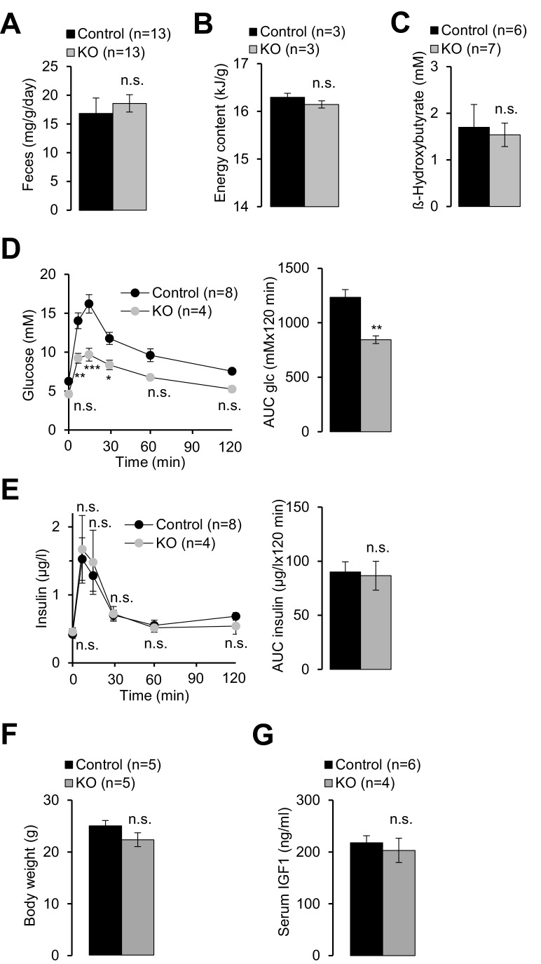 Figure 2—figure supplement 1.