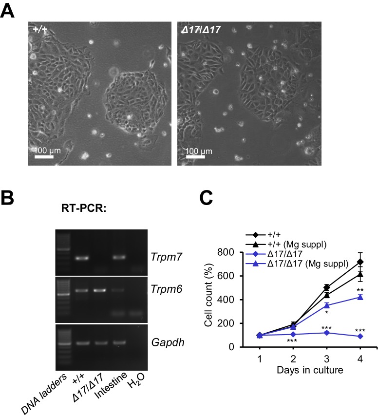 Figure 6—figure supplement 2.