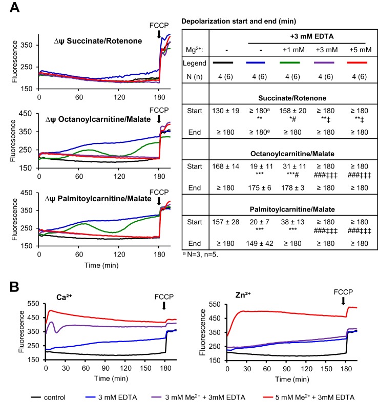 Figure 4—figure supplement 3.