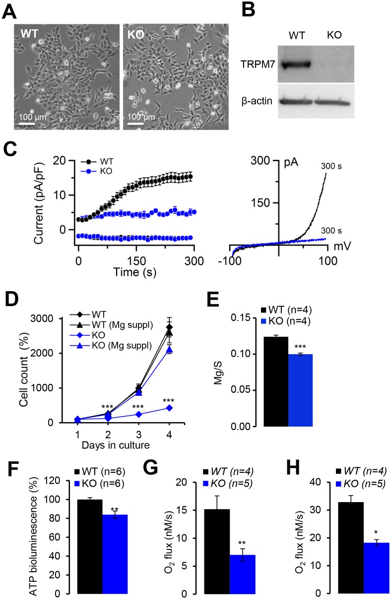 Figure 6—figure supplement 3.