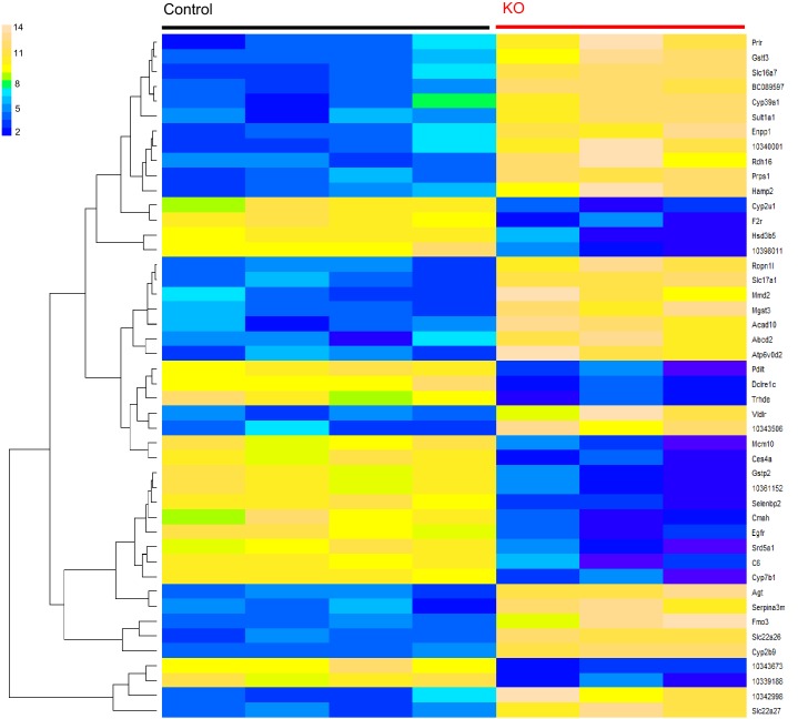 Figure 4—figure supplement 1.