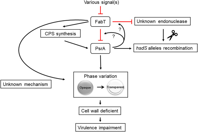 FIG 6