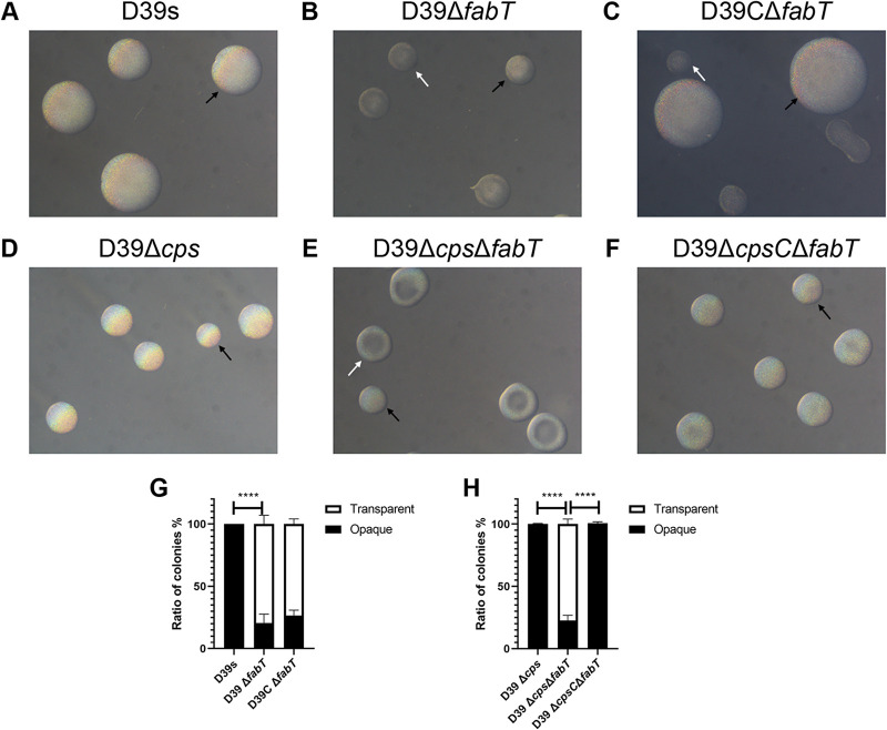 FIG 3