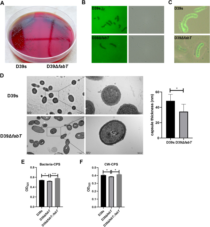 FIG 1