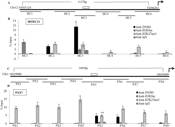 Fig 9