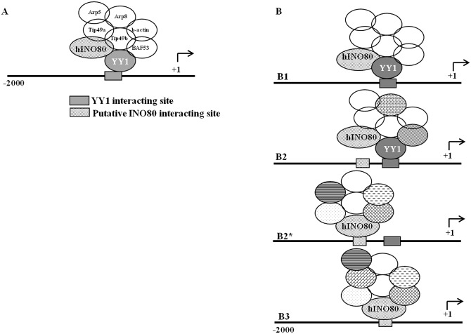 Fig 10