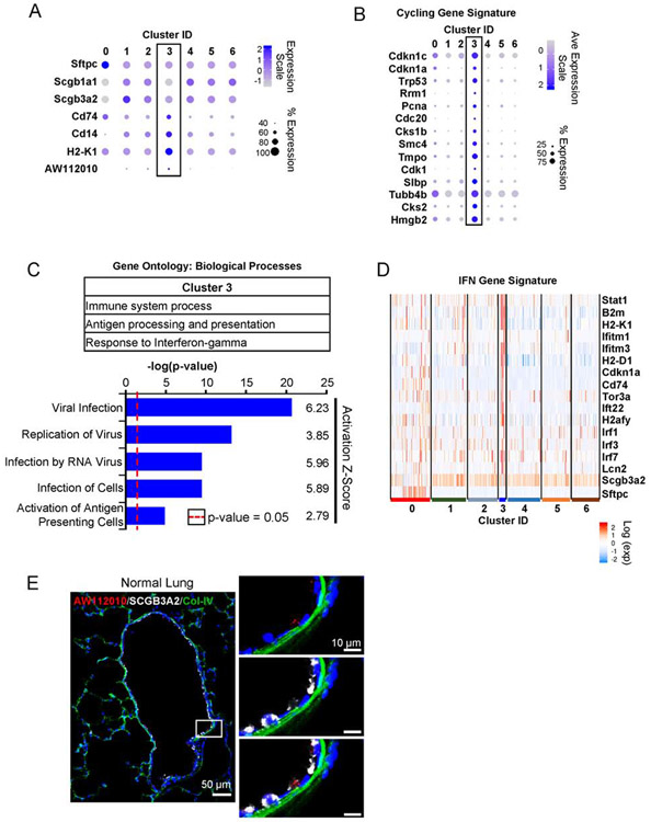 Figure 2: