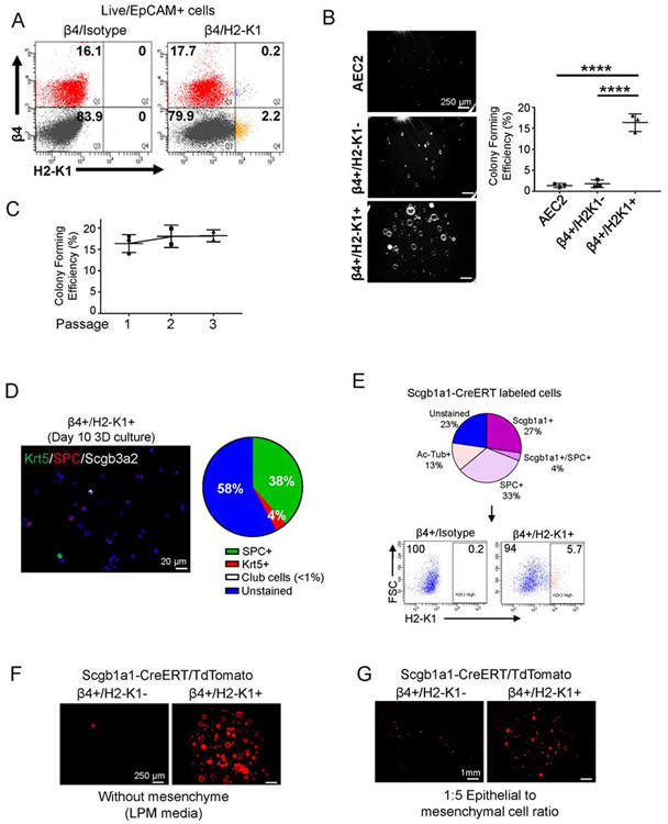 Figure 3: