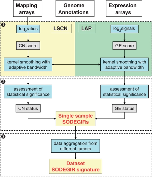 Figure 1.