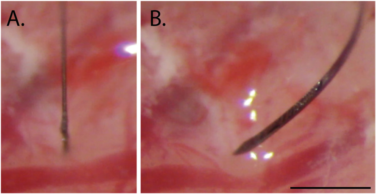 Figure 7.