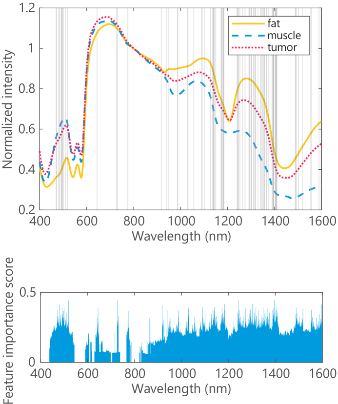 Fig. 13.