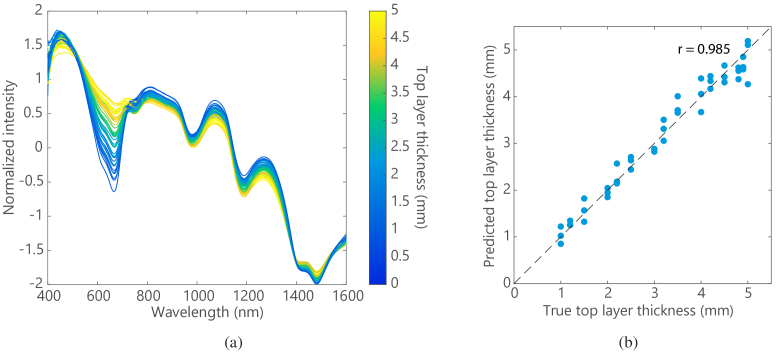 Fig. 10.