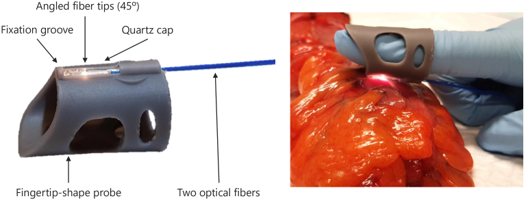 Fig. 3.