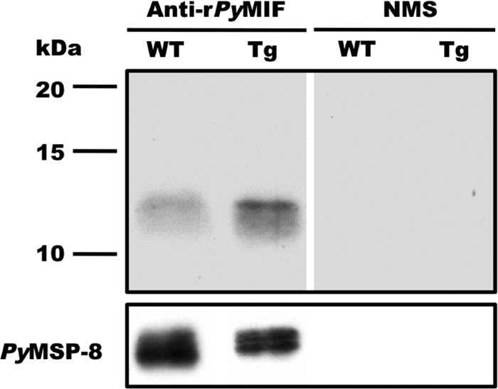 FIG. 8.