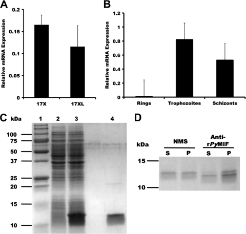 FIG. 1.