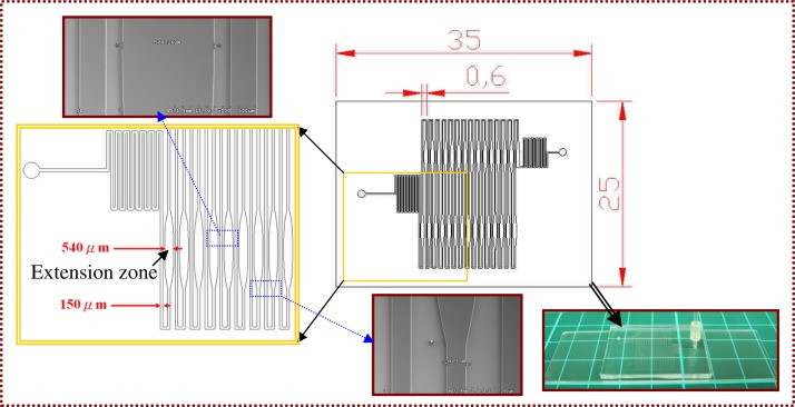 FIG. 2.