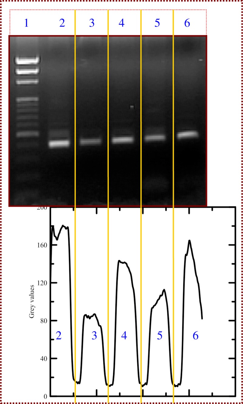 FIG. 12.