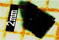 graphic file with name 41598_2020_64535_Figc_HTML.gif