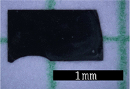 graphic file with name 41598_2020_64535_Fige_HTML.gif