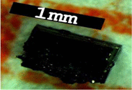 graphic file with name 41598_2020_64535_Figa_HTML.gif