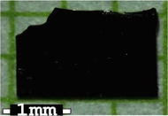 graphic file with name 41598_2020_64535_Figd_HTML.gif