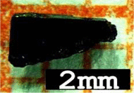 graphic file with name 41598_2020_64535_Figb_HTML.gif