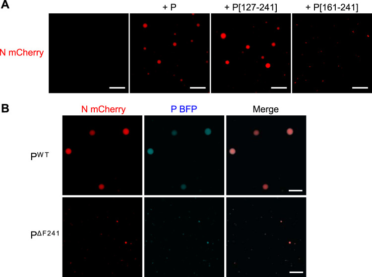 FIG 6