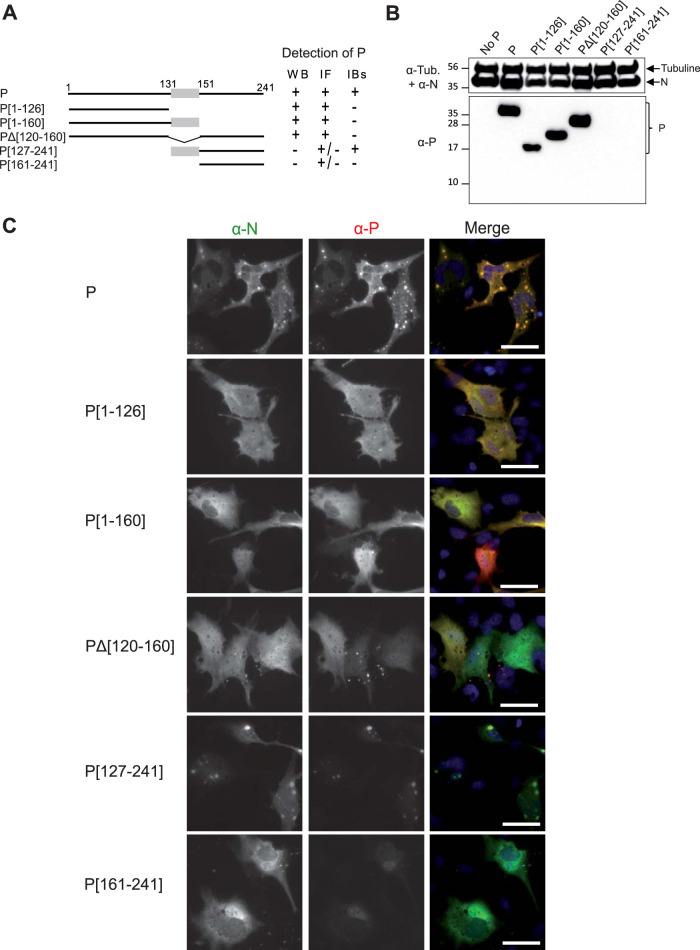 FIG 2