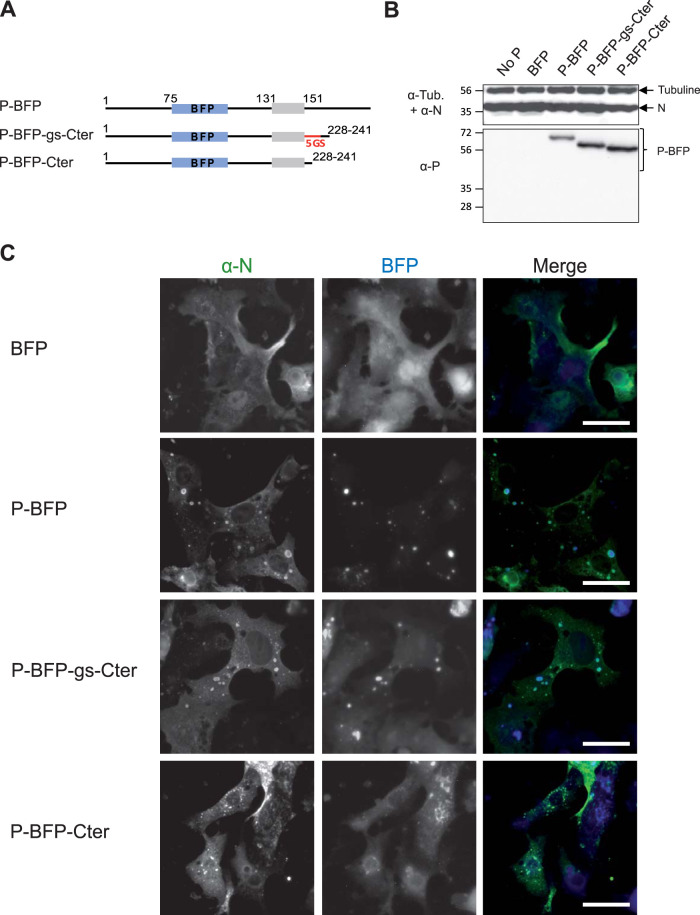 FIG 4