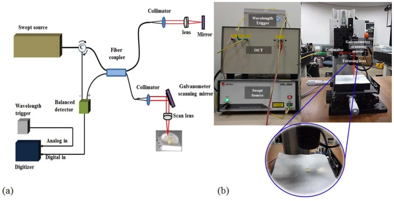 Figure 3.