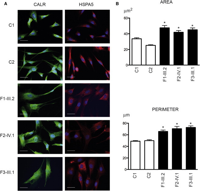 Figure 3