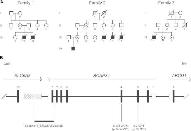 Figure 1