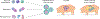 Fig. 3 |